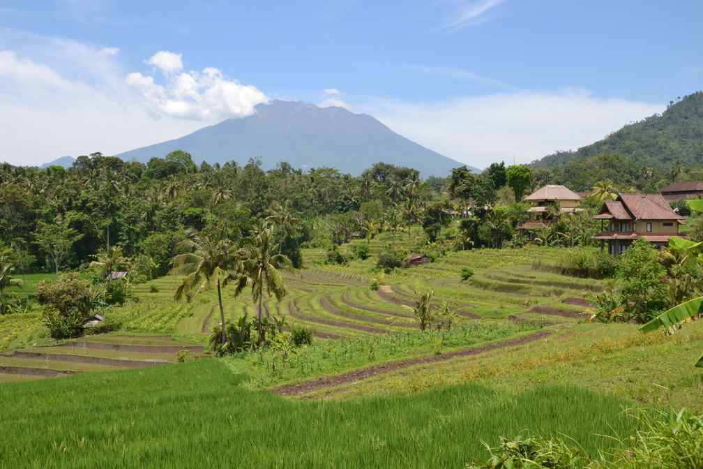 Bali de nos rêves